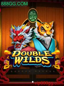Explorando a Emoção do Jogo DoubleWilds